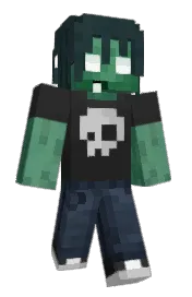 Skin preview