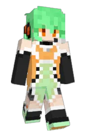 Skin preview