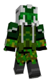 Skin preview