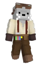 Skin preview