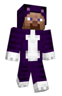 Front of DKW's skin