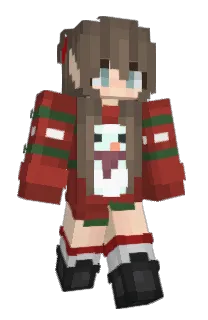 Front of TopHoe's skin