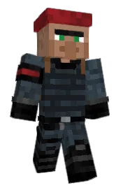 Skin preview