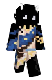 Skin preview