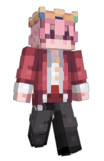 Front of MarkerGuava's skin