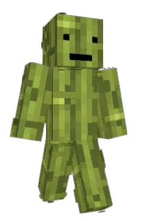 Front of Bambvs67's skin