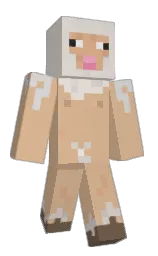 Go_goon's Minecraft skin wearing the Pan cape