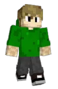 Mr_Elkcip