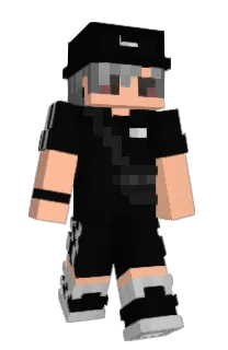 Front of besterhomie's skin