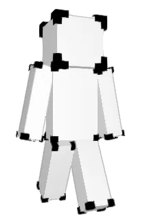 Front of Adeeb's skin