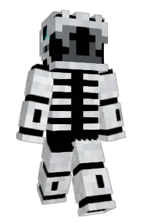 Front of 10011011100011's skin