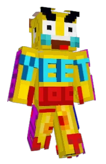Front of Edytor's skin