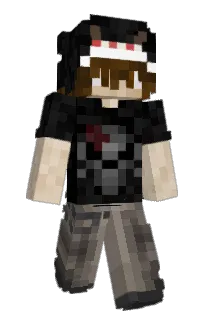 tt6v_'s Minecraft skin