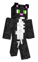 mine shaft and cod gray Minecraft skin — Classic model — first worn by MochiDaCat