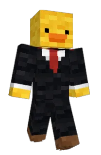 Front of quollit's skin