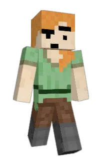 Front of Zugwit's skin