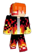 linusv2005