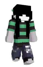 Skin preview