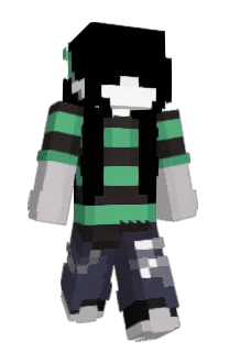 Front of swepku's skin