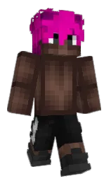 cocoa brown and judge gray Minecraft skin — Classic model — first worn by hasvn