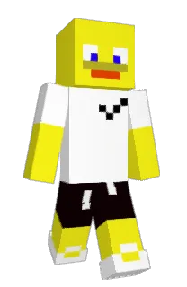 Front of SONOSETTE's skin
