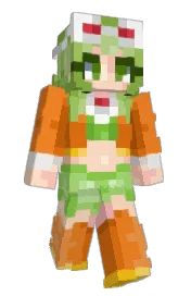 Skin preview