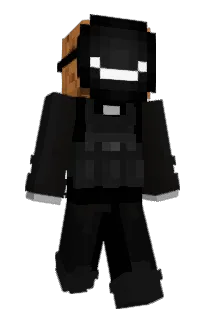 Front of Funnyblocks's skin