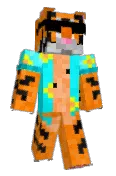 RobsonTigerPl