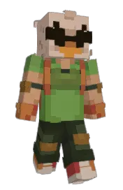 Skin preview