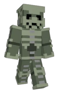 Front of TBakey's skin