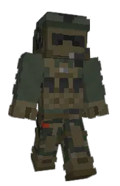 Skin preview