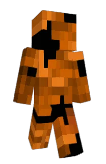 Front of Nocholas_____'s skin