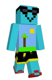 Skin preview