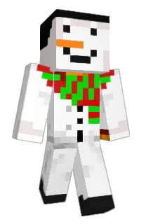 Front of 16J's skin