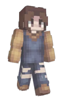 Front of MangoWater's skin