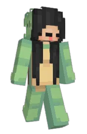 Skin preview