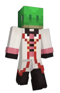 Front of cubed_turtle's skin