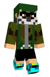 Skin preview