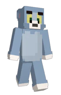 Front of 2010615's skin