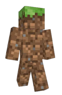 Front of 2139's skin