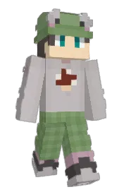 Skin preview