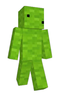 Front of Steadly's skin