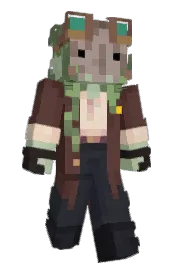 Skin preview