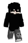 ELM_I_R