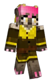 Skin preview