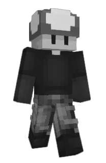Front of Bigos66's skin