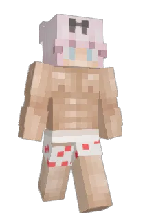 Front of idonisus's skin