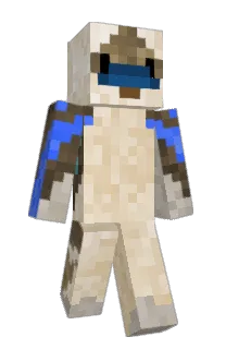 Front of _Wingzy_'s skin
