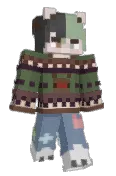 Raccoon424544