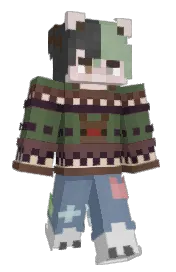 Skin preview